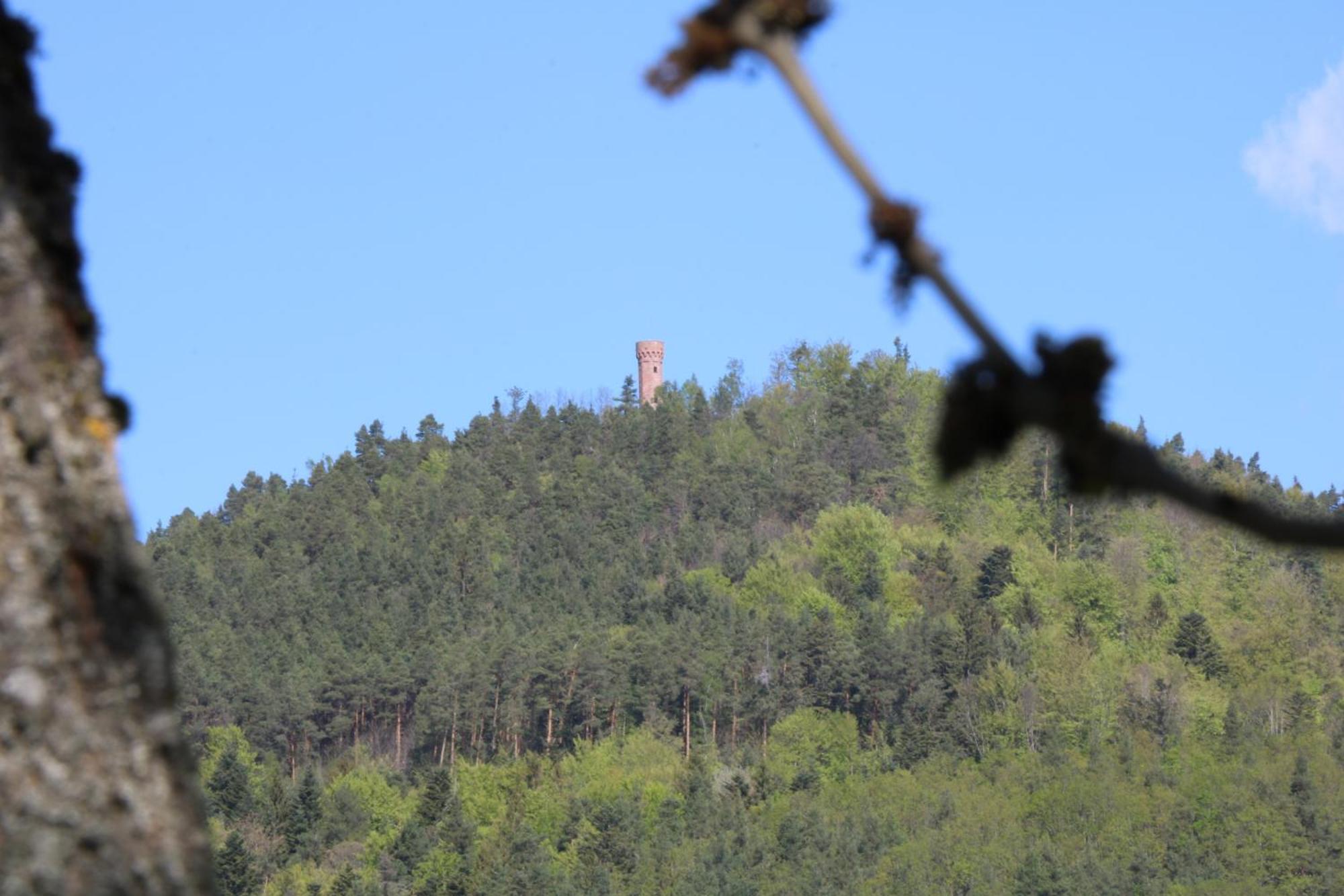 Chambres D'Hotes Les Ecrins 奥尔贝 外观 照片